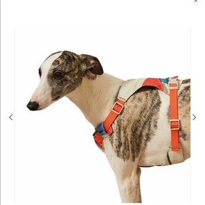 HOST PIC NEW PETSHY DOG HARNESS❤️❤️❤️❤️
